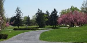 Blue Ridge Memorial Gardens - Cover